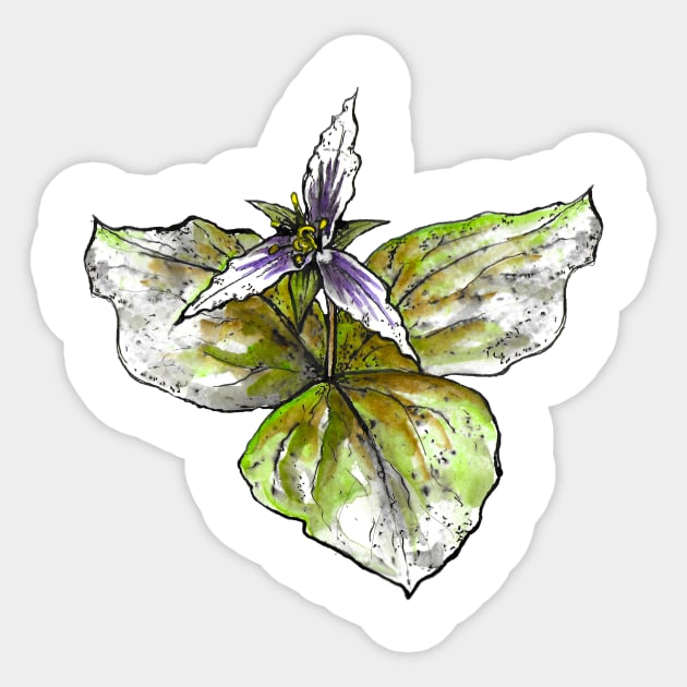 Trillium Sticker by mycologist